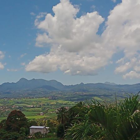 Martinique Vue D'Exception Et Piscine Villa Le Lamentin Bagian luar foto